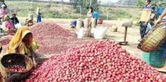 Boosting Potato Cultivation in Bogura for Higher Yield Expectation – A Step towards Better Production boosting-potato-cultivation-in-bogura-for-higher-yield-expectation-a-step-towards-better-production