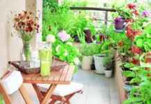 Developing Self-Improvement Techniques: What to Do developing-self-mprovement-techniques-what-to-do