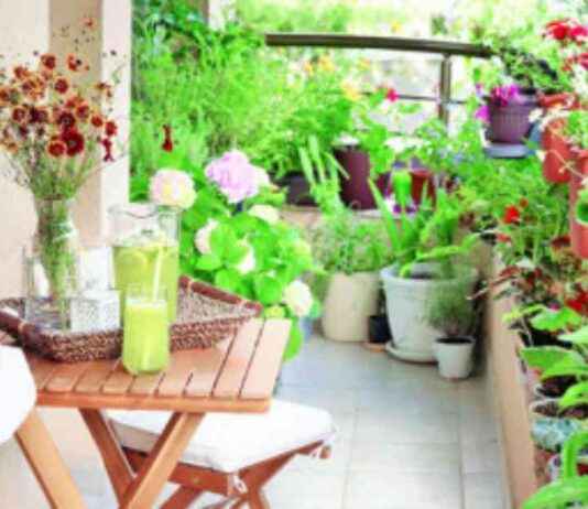 Developing Self-Improvement Techniques: What to Do developing-self-mprovement-techniques-what-to-do