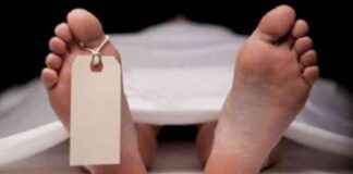 Elderly Lost Life in Attack Due to Sand Extraction: A Tragic Incident elderly-lost-life-in-attack-due-to-sand-extraction-a-tragic-ncident