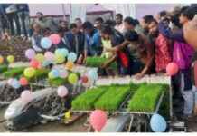 Revolutionizing Agriculture with First Collection Method in Saiyadpur: A Step Forward revolutionizing-agriculture-with-first-collection-method-in-saiyadpur-a-step-forward