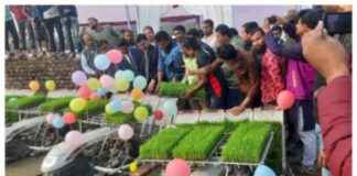 Revolutionizing Agriculture with First Collection Method in Saiyadpur: A Step Forward revolutionizing-agriculture-with-first-collection-method-in-saiyadpur-a-step-forward