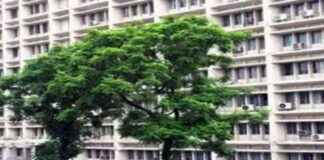 Teacher Salary and Allowance Message by Ministry on Resignation. teacher-salary-and-allowance-message-by-ministry-on-resignation