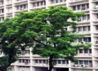 Teacher Salary and Allowance Message by Ministry on Resignation. teacher-salary-and-allowance-message-by-ministry-on-resignation