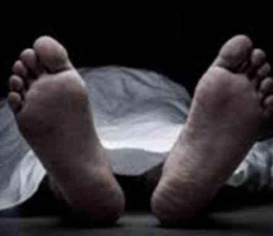 Truck Driver Killed in Bus Collision on Bogura Highway: Fatal Accident News truck-driver-killed-in-bus-collision-on-bogura-highway-fatal-accident-news