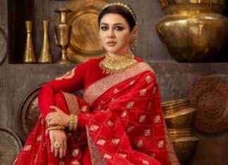 Welcome the New Year without Bursting Firecrackers: A Request from Joy welcome-the-new-year-without-bursting-firecrackers-a-request-from-joy