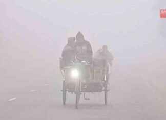 Winter Flowing into Five Districts: A Seasonal Overview in Bangladesh winter-flowing-into-five-districts-a-seasonal-overview-in-bangladesh