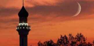 Elusive Moon Sighting, Jellyfish Season Starts April 30th elusive-moon-sighting-jellyfish-season-starts-april-30th