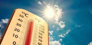 Possible New Title: Intense Impact of Nine Heatwaves in Three Months possible-new-title-ntense-mpact-of-nine-heatwaves-in-three-months