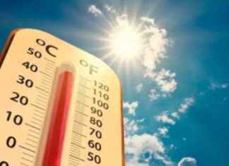 Possible New Title: Intense Impact of Nine Heatwaves in Three Months possible-new-title-ntense-mpact-of-nine-heatwaves-in-three-months