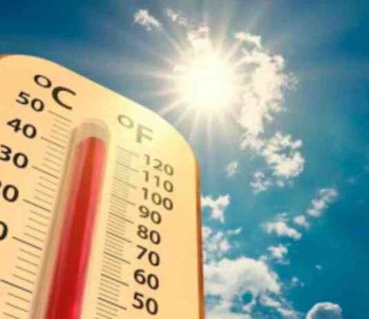 Possible New Title: Intense Impact of Nine Heatwaves in Three Months possible-new-title-ntense-mpact-of-nine-heatwaves-in-three-months