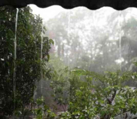 বাংলাদেশে তিন বিভাগে ভারী বৃষ্টি সম্ভব