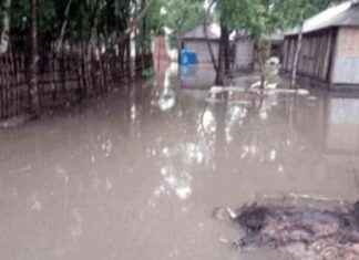 রংপুরের নিম্নাঞ্চলে বর্ষার আগেই অঝোর বৃষ্টির প্রভাব