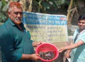 পার্বতীপুরে স্বাবলম্বী গ্রামে ট্যাংকে মাছ চাষ: সফল প্রকল্প।