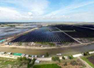 সোনাগাজীর সৌরবিদ্যুৎ প্রকল্পে কৃষি বিপর্যয় – সংক্ষেপণীয় বিবর্ণী