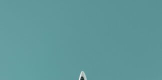 Frequently Asked Questions: Delta Flight DL275 Diverted from LAX Delta Flight DL275 diverted, DL275 LAX diversion, Delta emergency landing LAX, DL275 flight update, Delta diverted flight news, DL275 incident report, LAX airport flight diversion