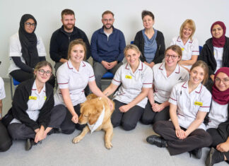 Enhancing Canine Well-Being in Dhaka: Comfort, Safety, and Behavior dog bed, dog beds, large dog beds, best dog beds, outdoor dog beds, orthopedic dog beds, chew proof dog bed