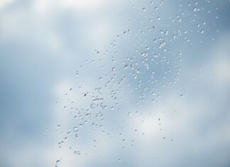 আমাদের দৈনন্দিন জীবনে আবহাওয়ার প্রভাব The influence of weather in our daily lives